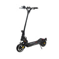 Dualtron Aminia