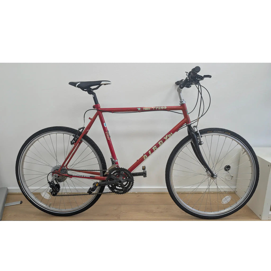 VTT Birdy (reconditionné)
